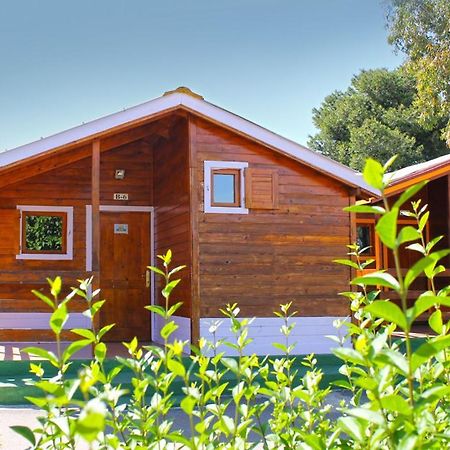 Bungalows Camping El Cid Peñíscola 外观 照片