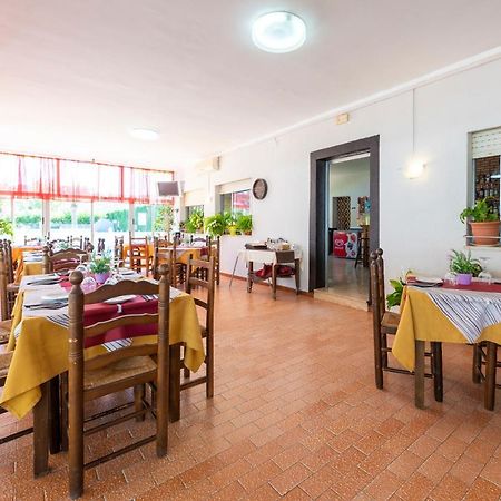 Bungalows Camping El Cid Peñíscola 外观 照片